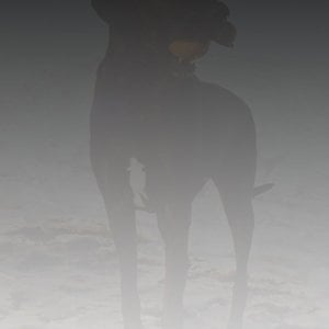 Profile picture for Ben Wolff