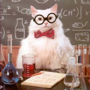Profile picture for LSGSA Indiana University