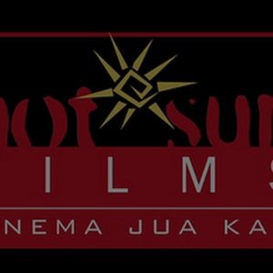 Profile picture for Hot Sun Films
