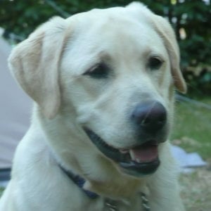 Profile picture for Marco Zielhuis