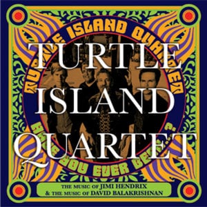 Profile picture for Turtle Island Quartet