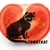 tomatkat