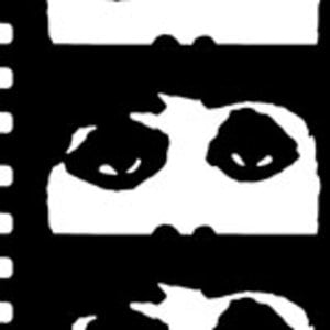 Profile picture for Cinema Chicago