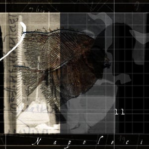 Profile picture for Roland Quelven