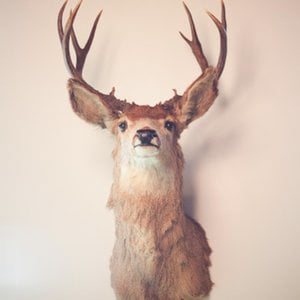 Profile picture for Gridplane