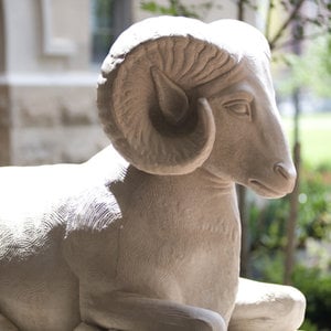 Profile picture for Virginia Commonwealth University