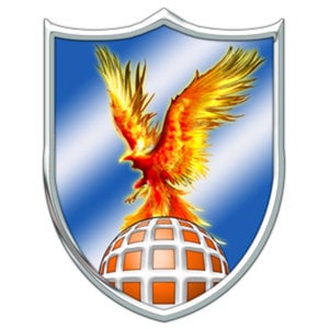 Profile picture for 311th Signal Command