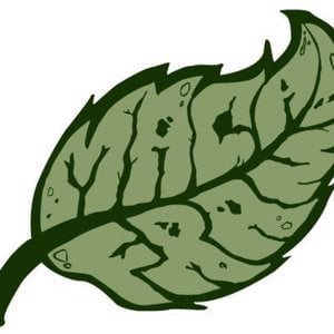 Profile picture for MACAVISION