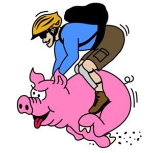Profile picture for gletschersau