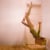 Miss Aniela