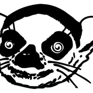 Profile picture for Prosimian Productions