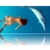 Dolphin Dance Project