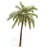 TropicalTV