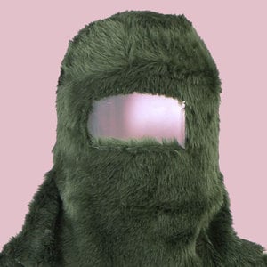 Profile picture for schheinz