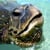 Ocean Video Photography