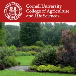 Profile picture for Cornell Sustainable Landscapes
