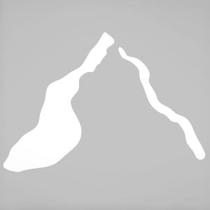 Profile picture for Dominique Winkel