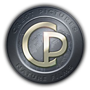 Profile picture for Crest Pictures
