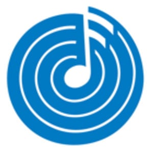 Profile picture for Positive Vibrations Foundation