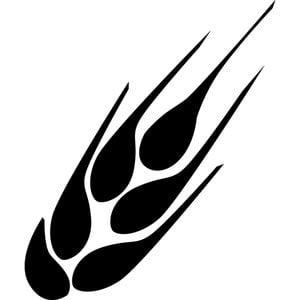 Profile picture for Christian Faith Center