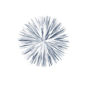 Profile picture for Veronica Cerri