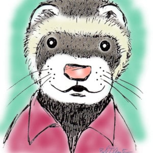 Profile picture for Joe Ferret