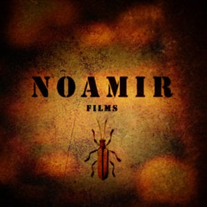 Profile picture for NOAMIR