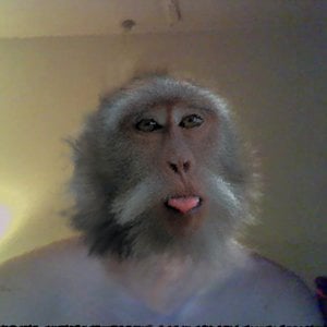 Profile picture for Alfo_O