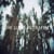 The Lulls In Traffic