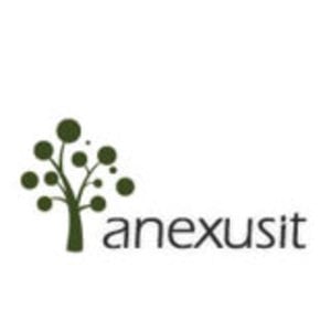 Profile picture for AnexusIT