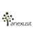 AnexusIT