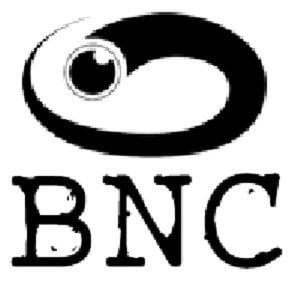 Profile picture for BNC Media