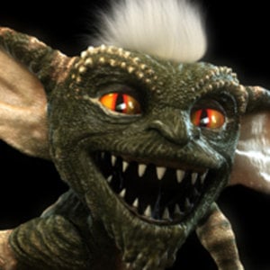 Profile picture for Steve Askey