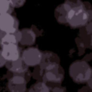 Profile picture for w=w