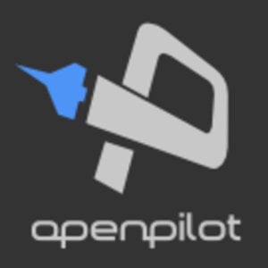 Profile picture for OpenPilot