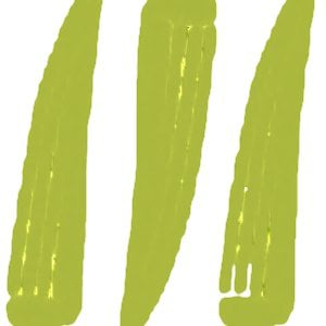 Profile picture for Southern Food + Beverage Museum