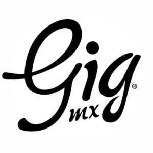 Profile picture for GiG MX