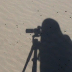 Profile picture for sekulich productions