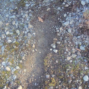 Profile picture for Johnny Poulsen