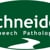 Schneider Speech