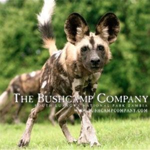 Profile picture for The Bushcamp Company