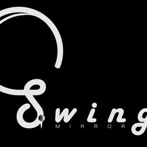 Profile picture for Swing Mirror
