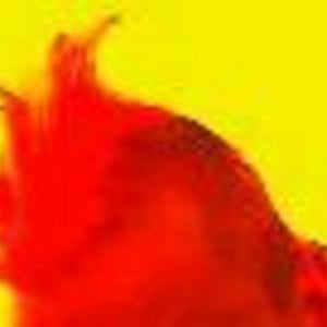 Profile picture for mungo shoddy