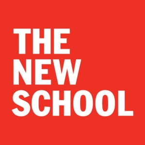 Profile picture for The New School