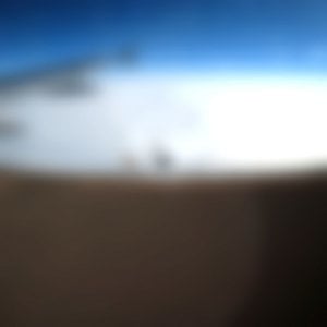 Profile picture for watson