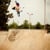 Brett Tocco