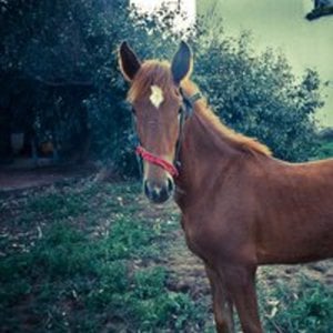 Profile picture for Juan Sierra