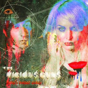 Profile picture for The VICIOUS GUNS