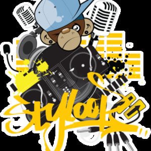 Profile picture for styloop