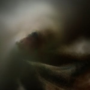 Profile picture for Jean Piché